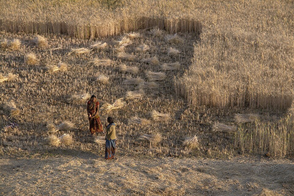 PM Modi Releases 24th PM-KISAN Instalment of Over ₹18,690 Crore from Banaskantha